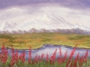 Mt. McKinley (Denali) in the Summer